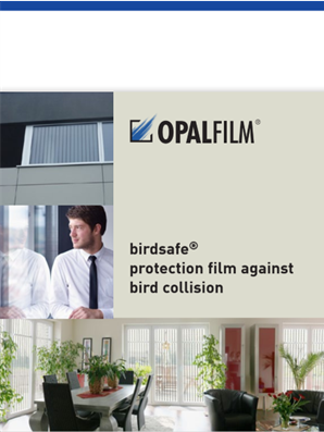 Birdsafe